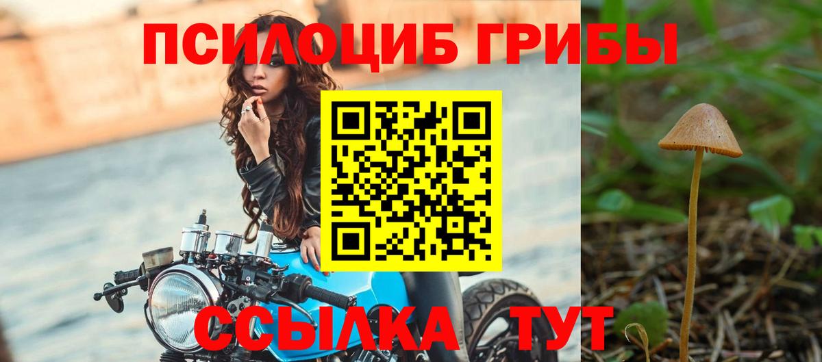 Галлюциногенные грибы GOLDEN TEACHER  Вход с VPN  хочу наркоту  Амурск 
